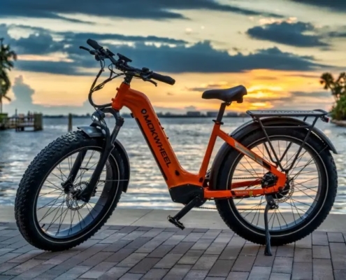 National eBike - Package Deals